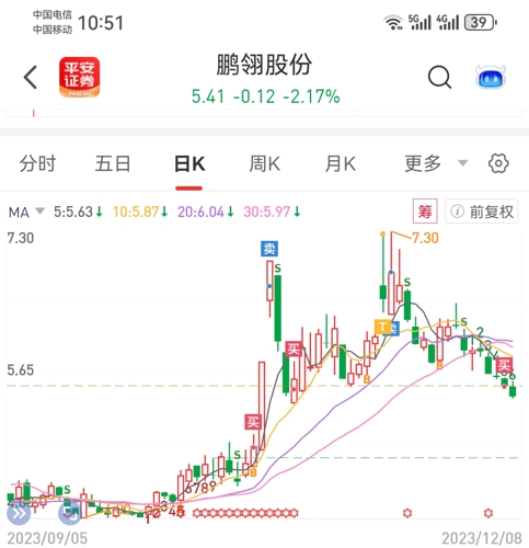 鵬翎股份最新消息全面解讀，鵬翎股份最新消息全面解讀與分析