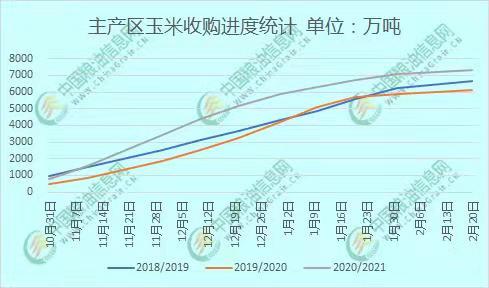 全國(guó)玉米價(jià)格最新行情分析，全國(guó)玉米價(jià)格最新行情解析