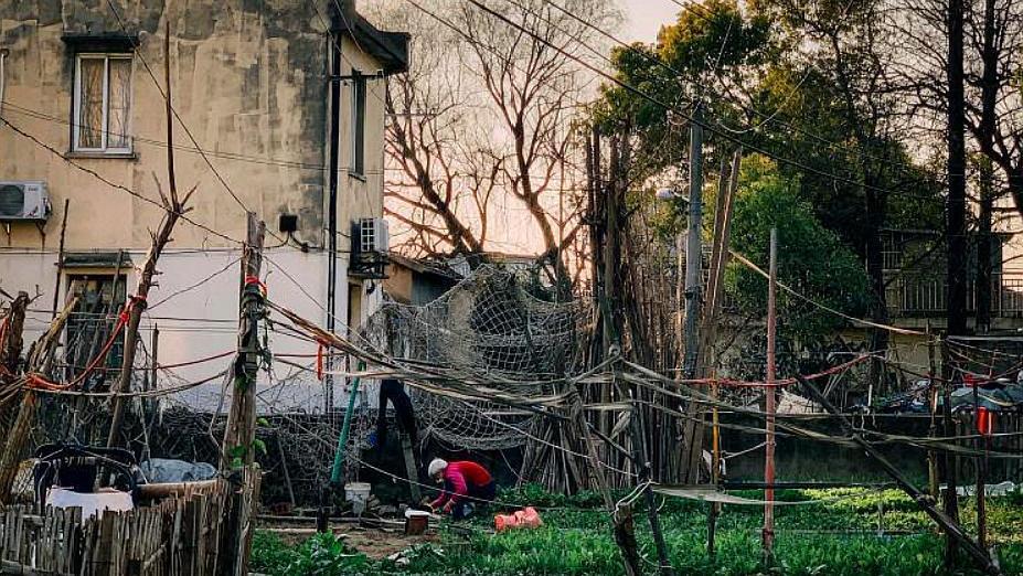 上海最新拆遷動(dòng)態(tài)，變化中的城市面貌與居民生活，上海拆遷最新動(dòng)態(tài)，城市面貌與居民生活的變遷