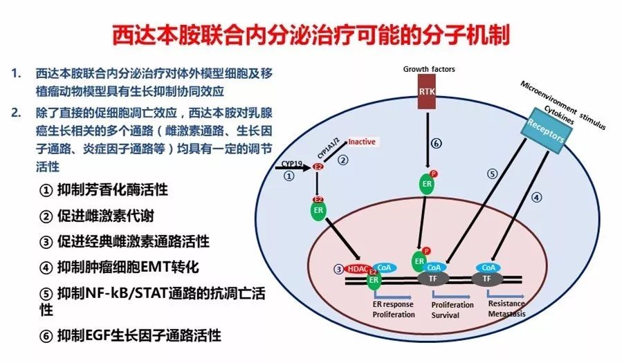 西達本胺最新消息，研發(fā)進展、應(yīng)用前景及市場趨勢分析，西達本胺最新研發(fā)進展、應(yīng)用前景與市場需求分析，最新消息和市場趨勢探討