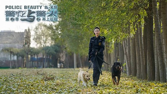 警花與警犬2最新消息，熱血回歸，人與犬的正義新篇章，警花與警犬2熱血回歸，人與犬的正義新篇章最新消息