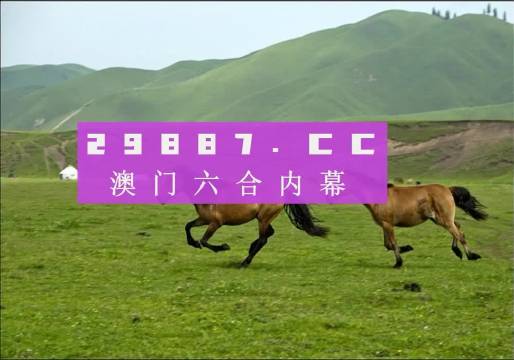 澳門天天彩期期精準(zhǔn)龍門客棧,安全性策略評估_PalmOS81.847