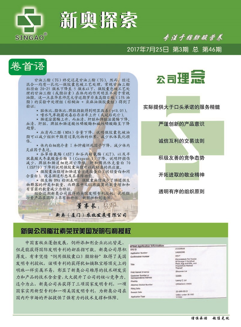 揭秘2024新奧精準(zhǔn)資料免費大全第078期，深度解析與前瞻性探討，揭秘2024新奧精準(zhǔn)資料免費大全第078期，深度解析與前瞻性探討報告全覽