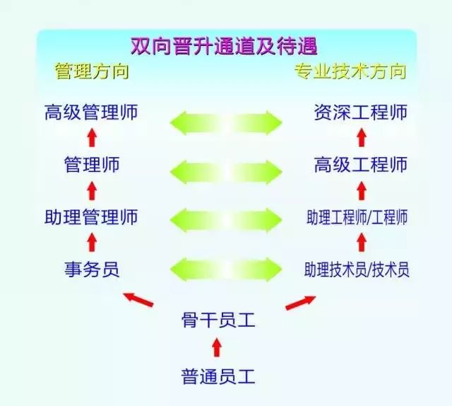 立訊精密最新招聘信息概覽，立訊精密最新招聘信息全面解析