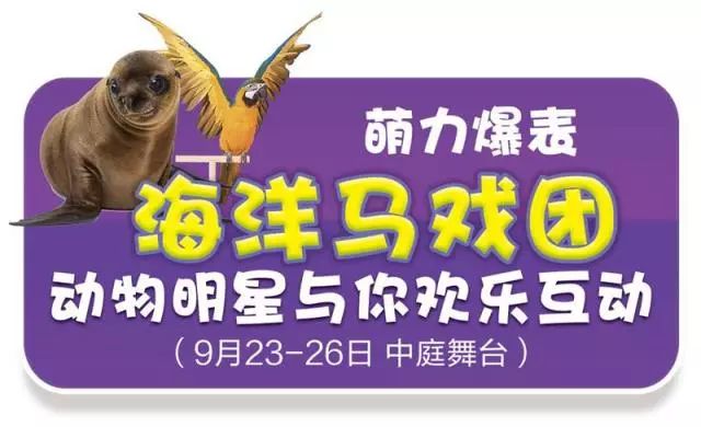 新奧門天天開獎資料大全——揭示違法犯罪背后的真相，新奧門天天開獎資料背后的犯罪真相揭秘