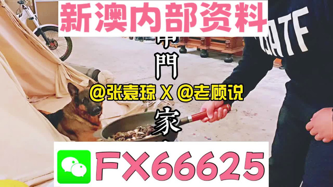 管家婆免費資料大全公開，探索與解析，管家婆免費資料大全揭秘，探索與解析