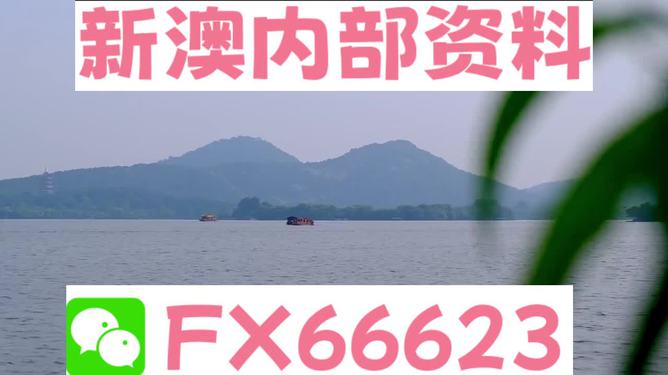 揭秘新澳精準(zhǔn)資料大全背后的真相與風(fēng)險(xiǎn)警示，揭秘新澳精準(zhǔn)資料背后的真相與風(fēng)險(xiǎn)警示全解析