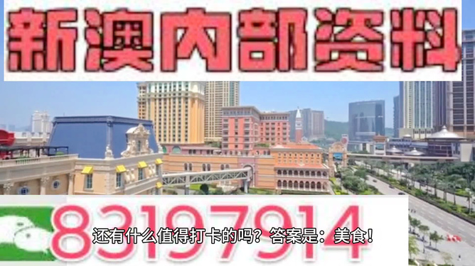 關于新澳精準正版資料的探討與警示——警惕違法犯罪風險，關于新澳精準正版資料的探討，警惕違法犯罪風險警示