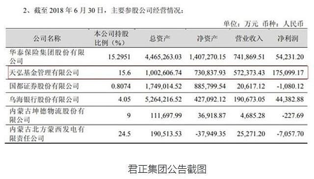 君正集團未來估值，展望與預測