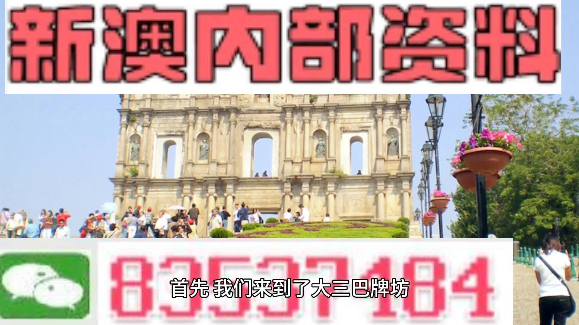 新澳2024正版免費(fèi)資料，警惕背后的違法犯罪問題，警惕新澳2024正版免費(fèi)資料背后的違法犯罪風(fēng)險(xiǎn)