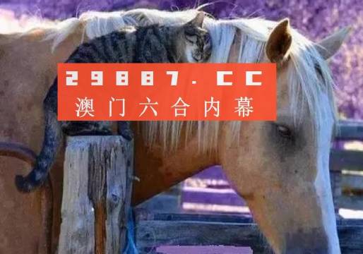 澳門必中一肖一碼四不像——揭開犯罪現(xiàn)象的神秘面紗，澳門犯罪現(xiàn)象揭秘，揭秘必中一肖一碼四不像的神秘面紗