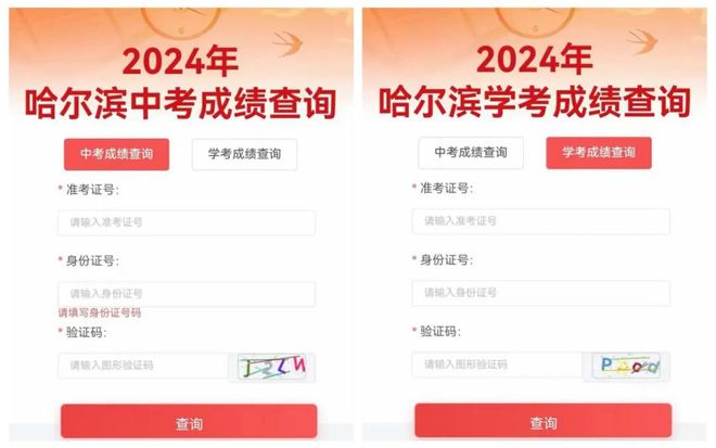 2024新澳最新開獎結果查詢——掌握彩票動態(tài)的必備指南，掌握彩票動態(tài)必備指南，2024新澳最新開獎結果查詢