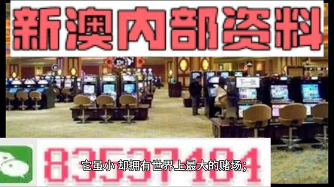 澳門正版精準(zhǔn)免費大全——揭示違法犯罪問題，澳門正版精準(zhǔn)免費大全揭秘違法犯罪問題