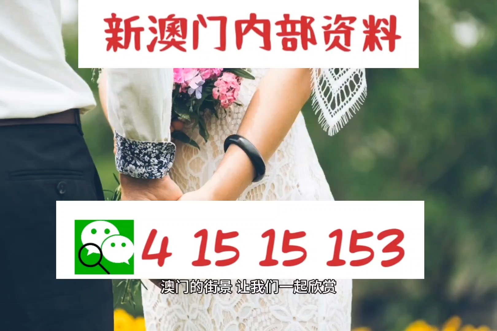 關于新澳新澳門正版資料的探討與警示——警惕違法犯罪問題，關于新澳新澳門正版資料的探討，警惕違法犯罪風險！