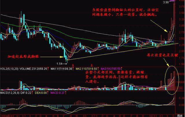 探尋未來之星，2025年有望翻十倍的潛力股票，探尋未來之星，潛力股票展望2025年十倍增長(zhǎng)之路