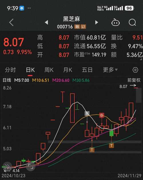 黑芝麻股票，未來能否攀升至20元？，黑芝麻股票未來走勢預測，能否沖破20元大關？