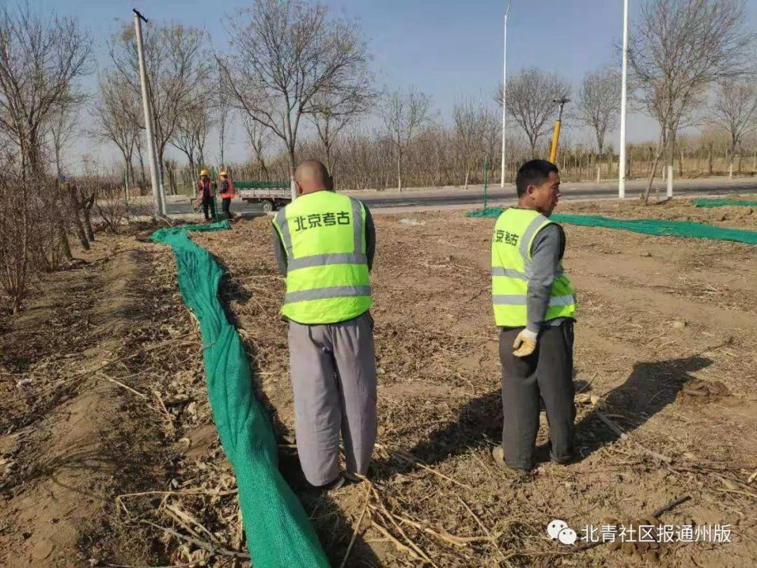 漷縣最新規(guī)劃，塑造未來城市的藍(lán)圖，漷縣未來城市藍(lán)圖，最新規(guī)劃揭秘