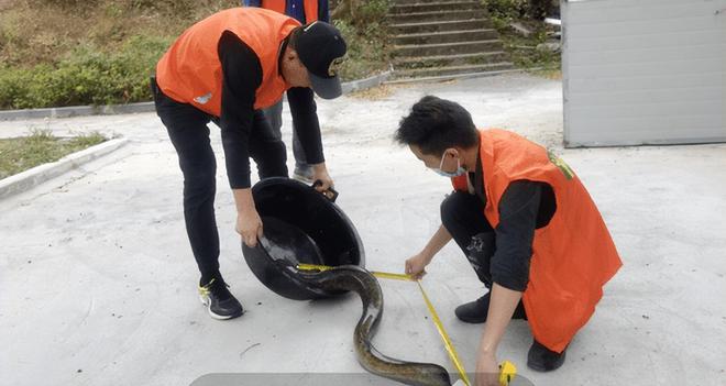 男子撞死二級保護動物被判賠1.5萬，法律對野生動物保護的警示，男子撞死二級保護動物獲判賠1.5萬，法律對野生動物保護的嚴肅警示