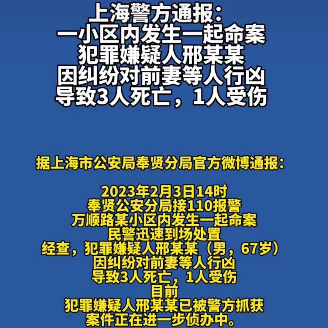 上海某小區(qū)發(fā)生刑案致一死，悲劇背后的警示與反思，上海小區(qū)刑案致一死，悲劇背后的警示與反思