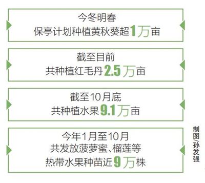 警惕二肖四碼中特期期準一肖——揭露背后的風(fēng)險與犯罪問題，警惕二肖四碼中特期期準一肖背后的風(fēng)險與犯罪陷阱揭秘