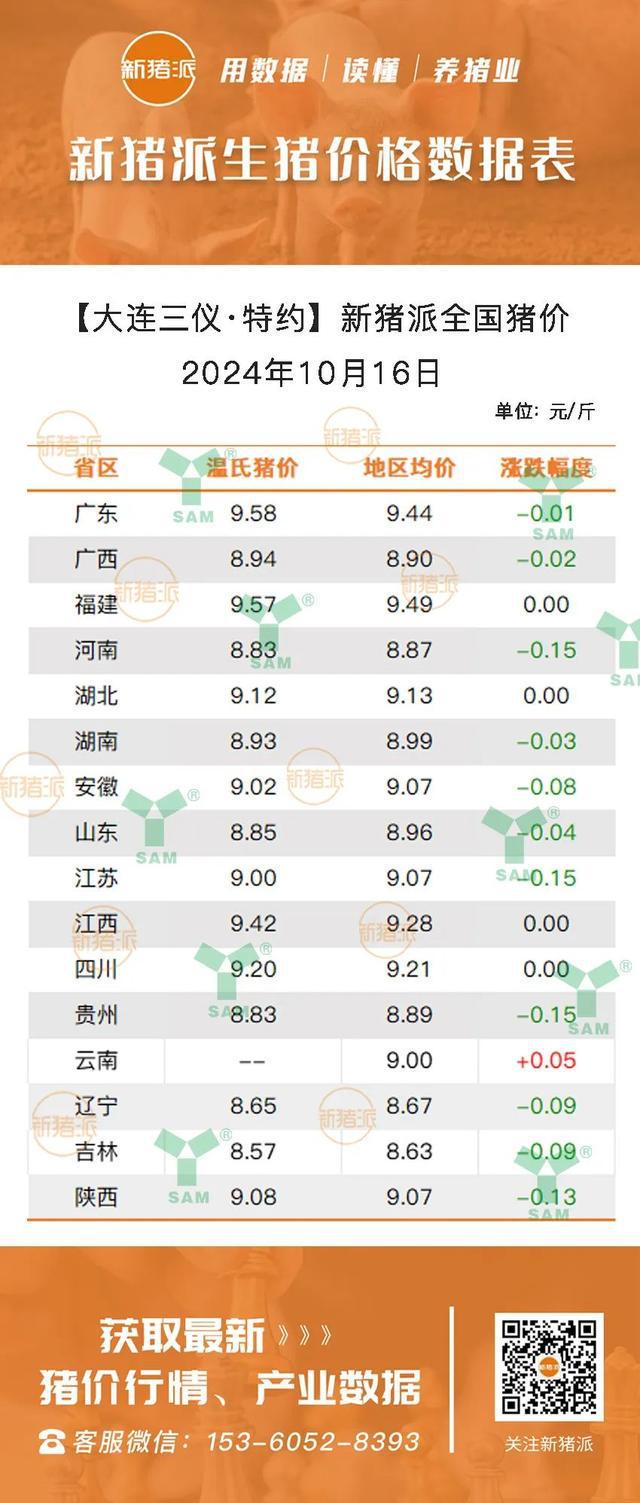 最新仔豬市場行情分析，最新仔豬市場行情深度解析