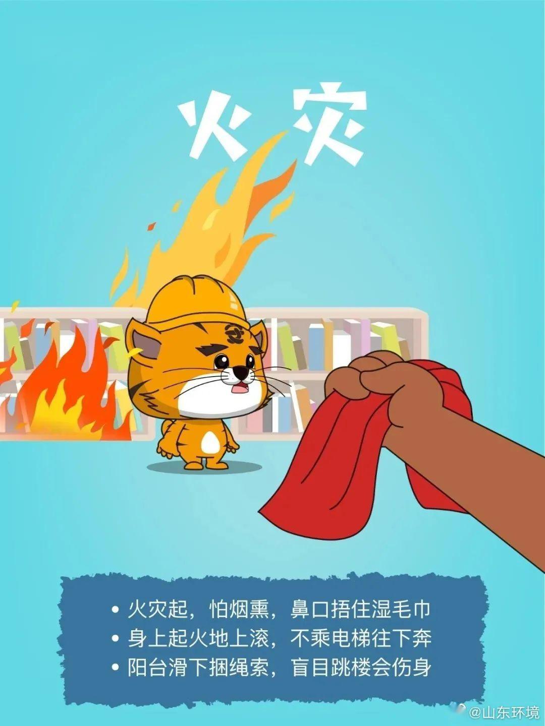 探究猴災影響，未來至2025年的挑戰(zhàn)與應對策略，猴災影響深度解析，至2025年的挑戰(zhàn)與應對策略