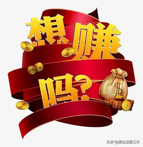 一天賺500，如何實現(xiàn)你的收入目標，一天賺500，實現(xiàn)你的收入目標指南