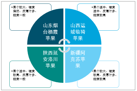 陜西蘋果產(chǎn)業(yè)全產(chǎn)業(yè)鏈深度解析，陜西蘋果產(chǎn)業(yè)全產(chǎn)業(yè)鏈深度探究