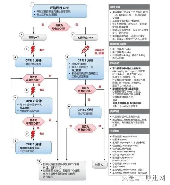 最新CPR（心肺復(fù)蘇術(shù)）流程詳解，最新CPR（心肺復(fù)蘇術(shù)）流程全面解析