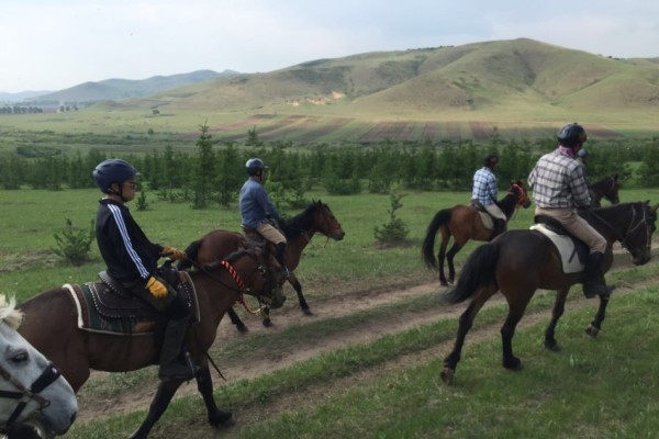 關(guān)于澳門特馬今晚開獎(jiǎng)的討論與警示，澳門特馬今晚開獎(jiǎng)討論及警示