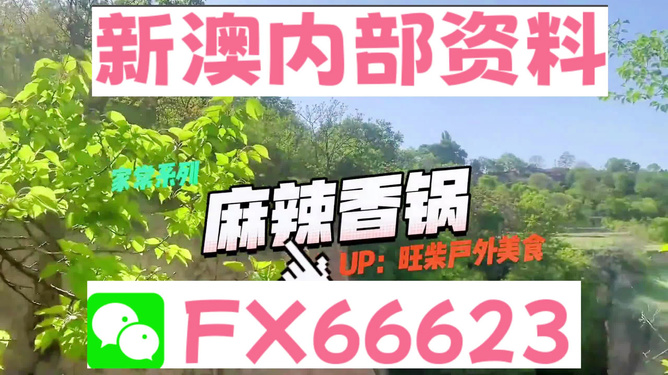 新澳精準(zhǔn)資料免費(fèi)提供的深度解析，新澳精準(zhǔn)資料深度解析，免費(fèi)提供的內(nèi)幕揭秘