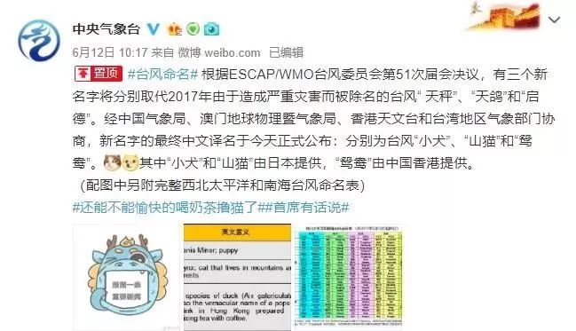 警惕虛假博彩陷阱，新澳門必中三肖三碼三期必開劉伯背后的風(fēng)險，警惕虛假博彩陷阱，揭秘新澳門劉伯背后的風(fēng)險與三期必開真相