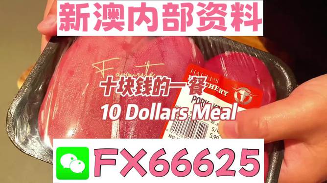 新澳全年免費(fèi)資料大全，探索與收獲，新澳全年免費(fèi)資料大全，探索之旅與收獲的時(shí)刻