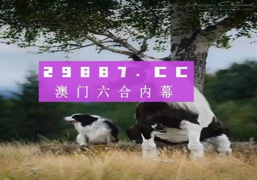 澳門今晚開特馬四不像圖——探索澳門彩票的奧秘，澳門彩票奧秘探索，特馬四不像圖今晚揭曉