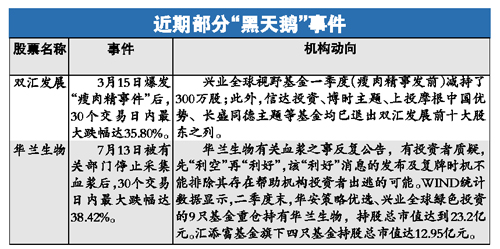 揭秘最準一肖一碼，探尋100%精準評論的背后