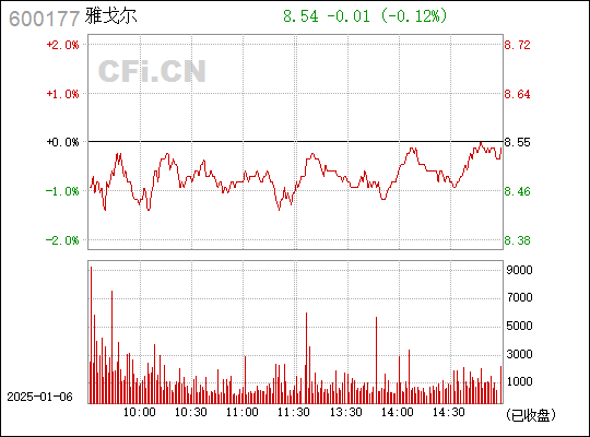 解析600177股票行情，投資視角的深度探討，深度解析，600177股票行情與投資視角探討